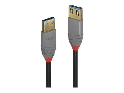 Lindy Anthra Line – USB laidas – USB A tipo į USB A tipo – 50 cm