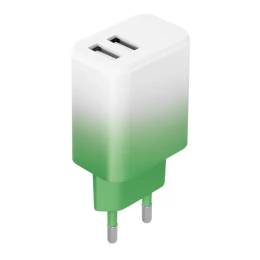 Setty LSIG-AA-20 зарядное устройство | 18W | 2x USB | мятный-white gradient