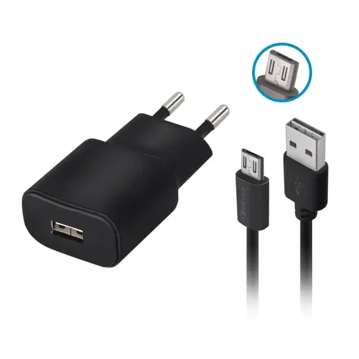 Forever TC-01 зарядное устройство | 10W | USB-A | с проводом Micro USB в комплекте | черное