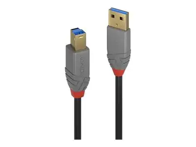 Lindy Anthra Line – USB laidas – USB A tipo į USB B tipo – 1 m