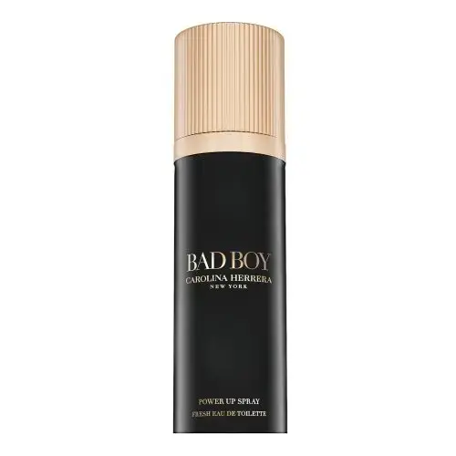 Carolina Herrera Bad Boy (EDT) туалетная вода для мужчин 100 мл