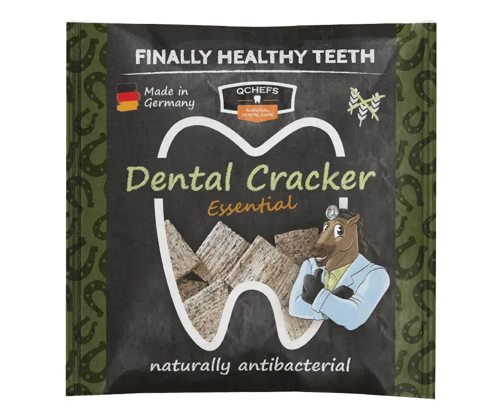 QCHEFS Horse Treat Dental Cracker Essential 63 g