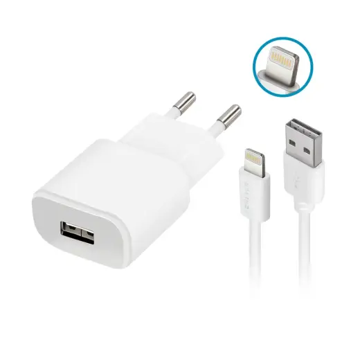Forever TC-01 зарядное устройство | 5W | USB-A | с проводом Lightning в комплекте | белое